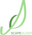 Scapeology